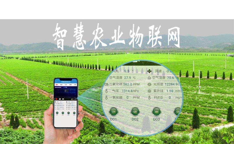 南京松米网络科技：软件开发公司的叙事旅程